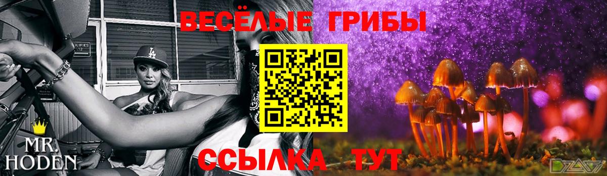 Гашиш  Вход с VPN  Купить наркотики  Cocaine  МЕФ кристаллы  MDMA  Ахтубинск  Каннабис 