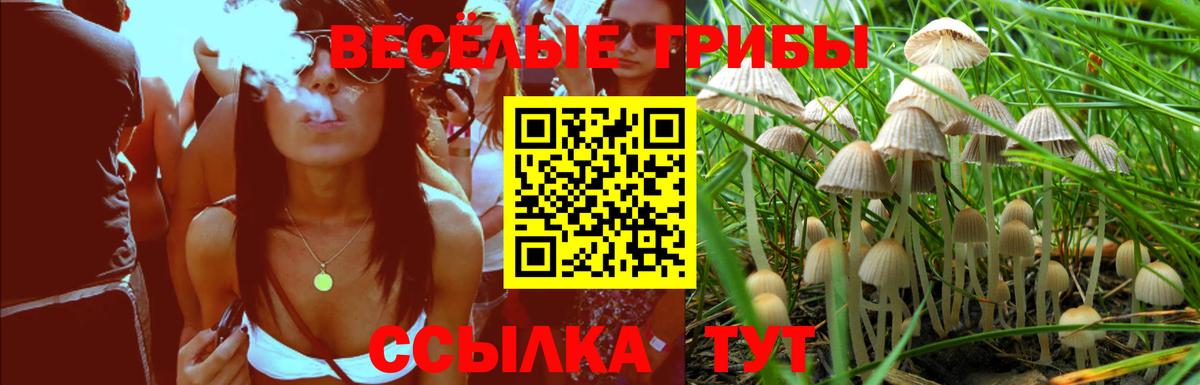 Ахтубинск  Псилоцибиновые грибы Magic Shrooms  Вход с VPN 