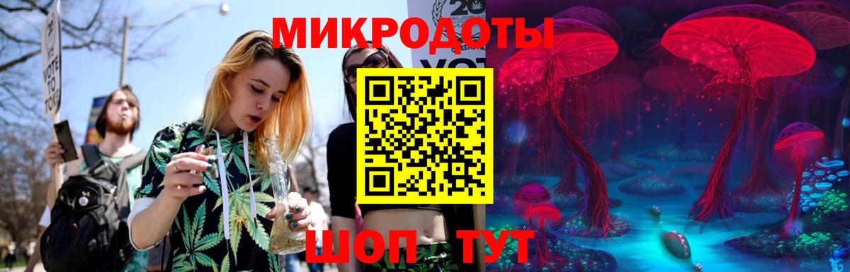 Галлюциногенные грибы Psilocybe Ахтубинск